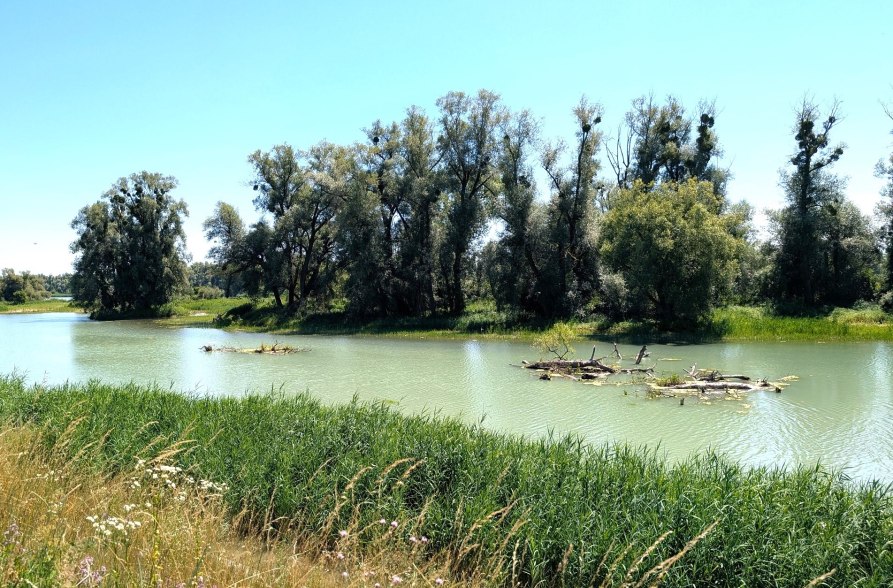Natur erleben im Mai, &copy; Doroena Buchmeier