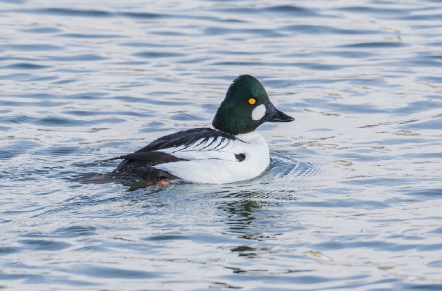 Natur erleben im November, &copy; Thomas Pumberger