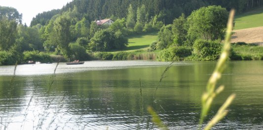 Erlensee im Sommer, &copy; Loanerland
