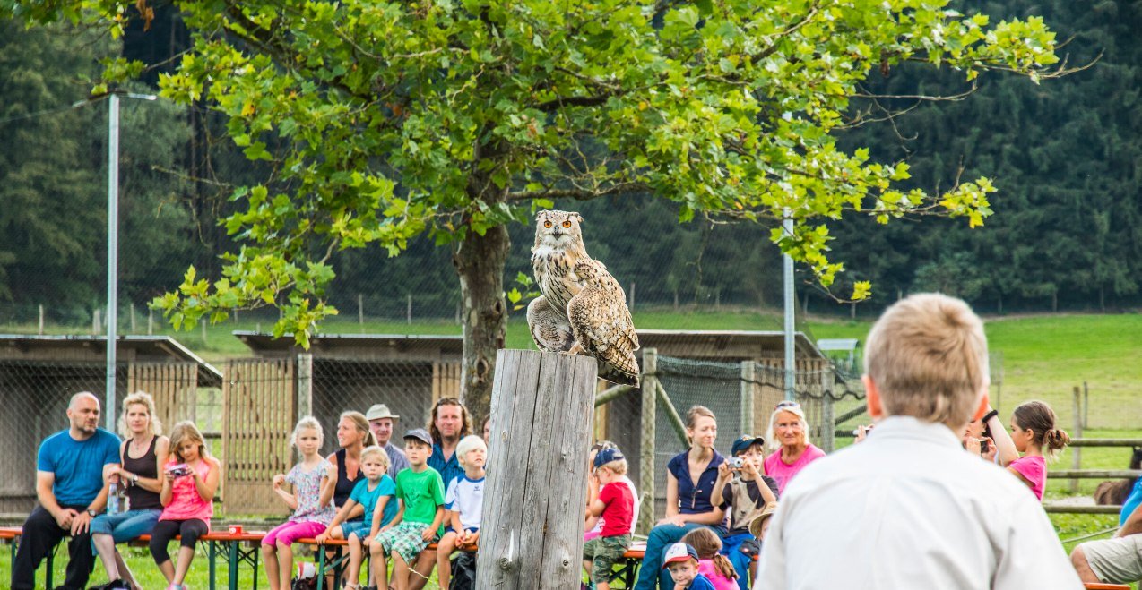 Besucher bei der Greifvogel-Show im Wildfreizeitpark Oberreith, &copy; Inn-Salzach Tourismus