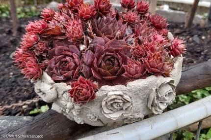 Knetbeton Schale, © Kasterl Kunterbunt