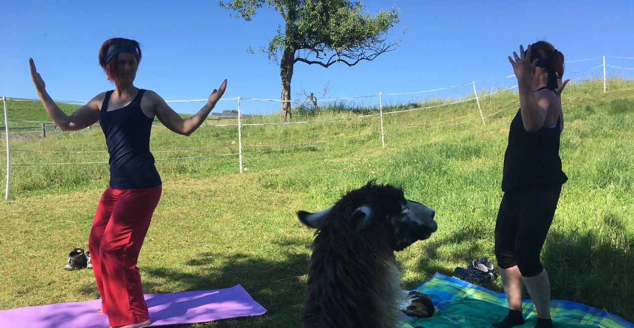 Lama-Oase Yoga, © Lama-Oase