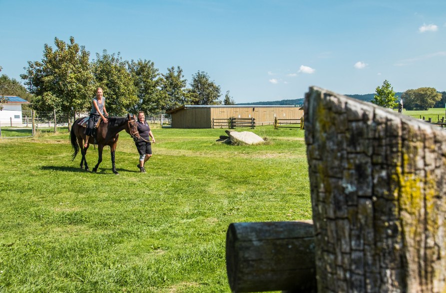 Ponyreiten, © Inn-Salzach Tourismus