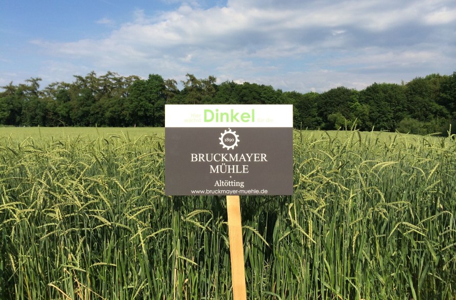 Getreidefeld mit Schild, © Bruckmayer Mühle