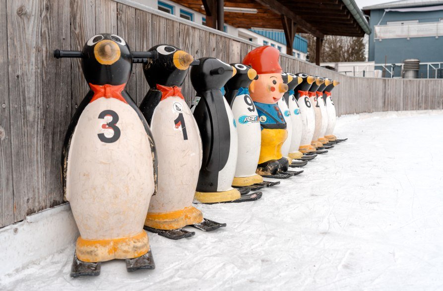 Lernhilfen Eisstadion M&uuml;hldorf, &copy; Inn-Salzach Tourismus