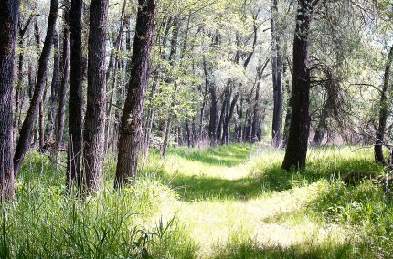 Natur erleben im Juni, &copy; Beate Brunninger