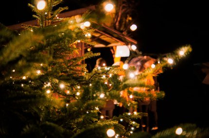 Beleuchteter Tannenbaum auf dem Adventsmarkt Schwindegg, © Inn-Salzach Tourismus