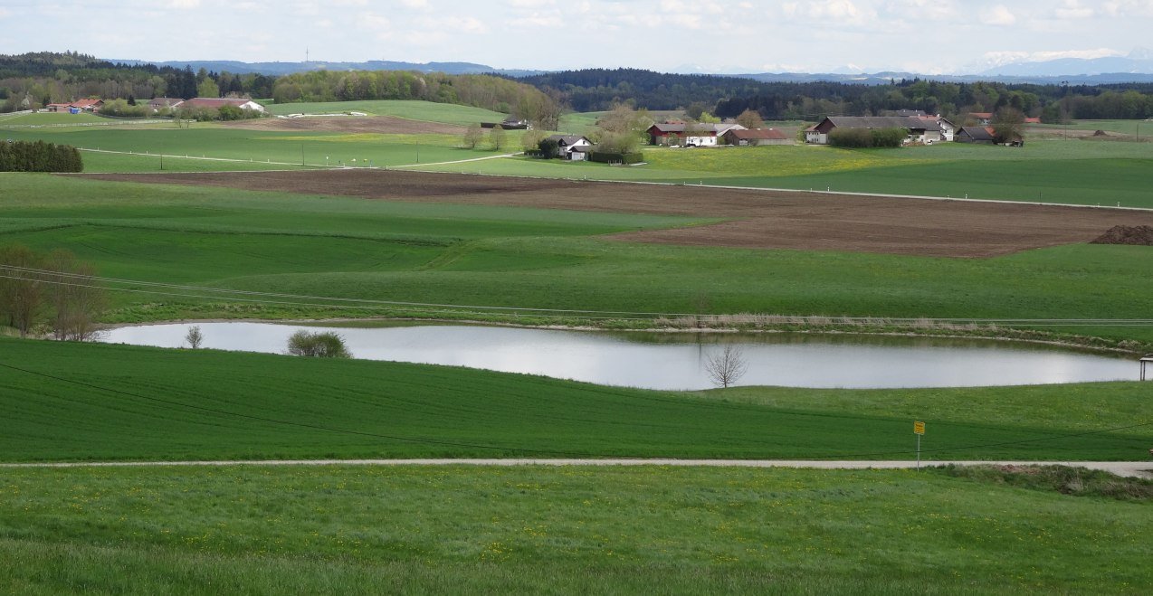 jqtgAu2arIjhRgGH7pkA5CG7xCaPutEru6UhcG9N.jpeg, © Hans Schmidt