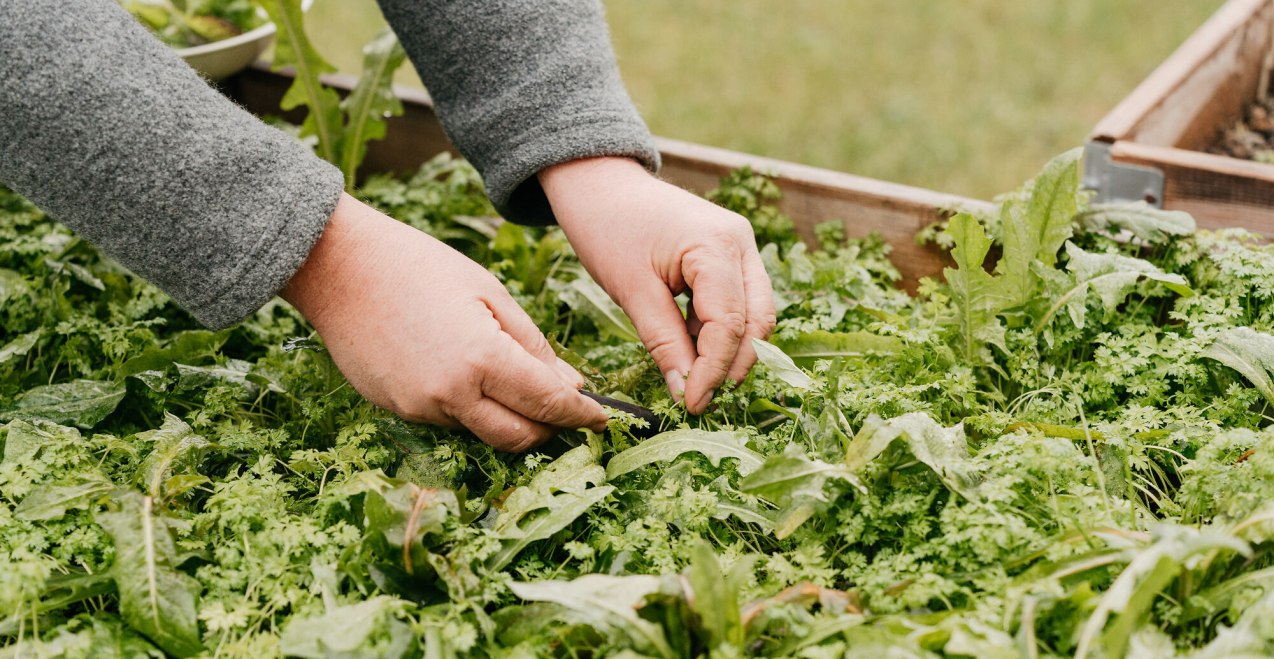 Workshop in Gallenbach, &copy; Tourismusverband Inn-Salzach