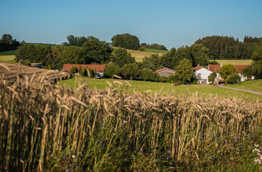 AmVieh-Theater Campingplatz, © AmVieh-Theater