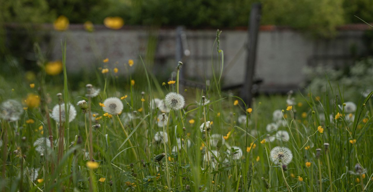 Natur erleben, © Tourismusverband Inn-Salzach