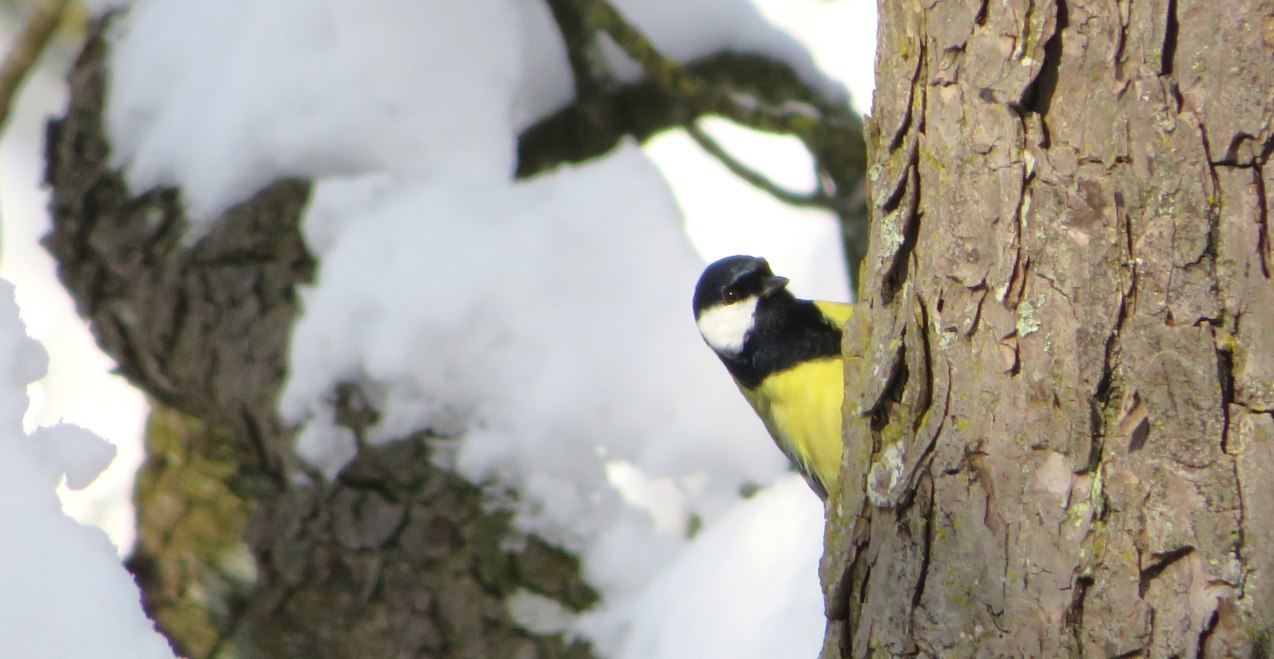 Natur erleben im November, © Dorena Buchmeier