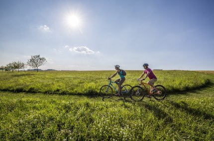 Radfahrer in der Region Inn-Salzach in der N&auml;he vom Alpenblick Itsching, &copy; Inn-Salzach Tourismus