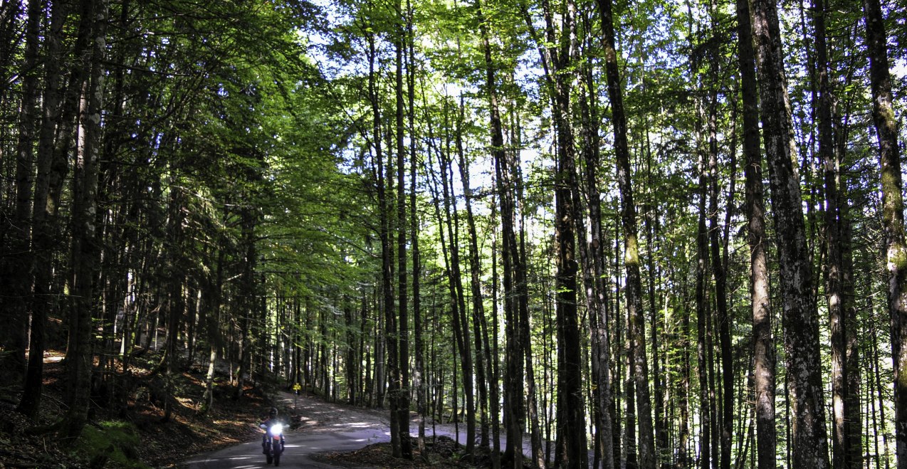 Fuschl Tiefbrunnau, &copy; Andreas Wiesenzarter