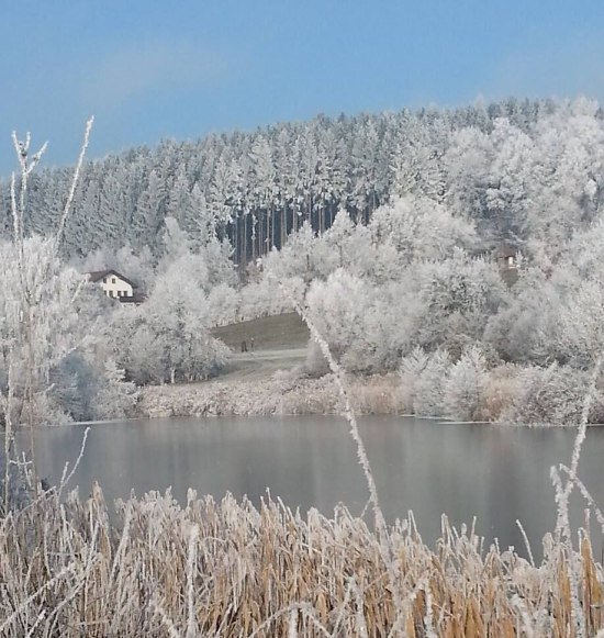 Erlensee im Winter mit Schnee, &copy; Loanerland