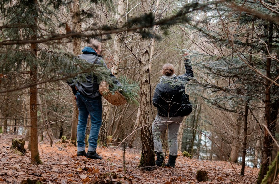 Mann und Frau auf der Suche nach Douglasienzweigen im Wald, © Inn-Salzach Tourismus