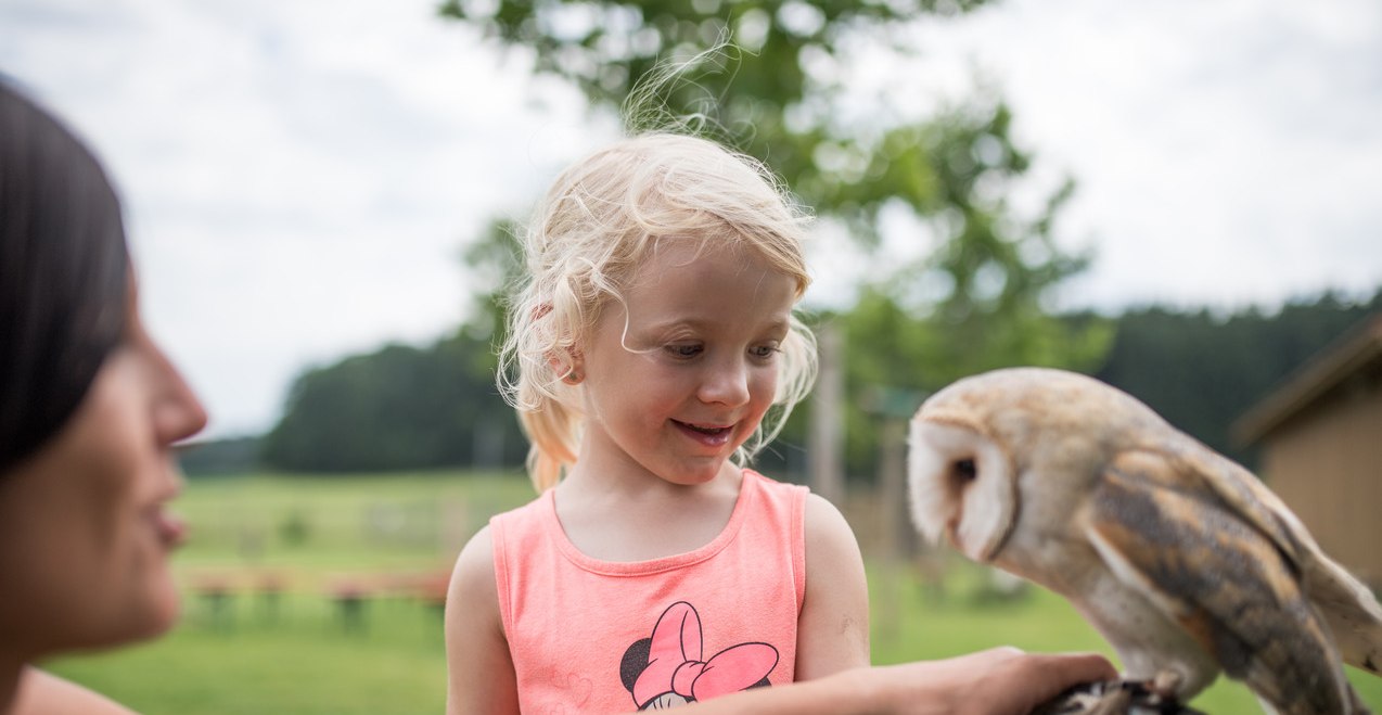 Zu Besuch in der Falknershow des Wildfreizeitparks Oberreith, &copy; Inn-Salzach Tourismus