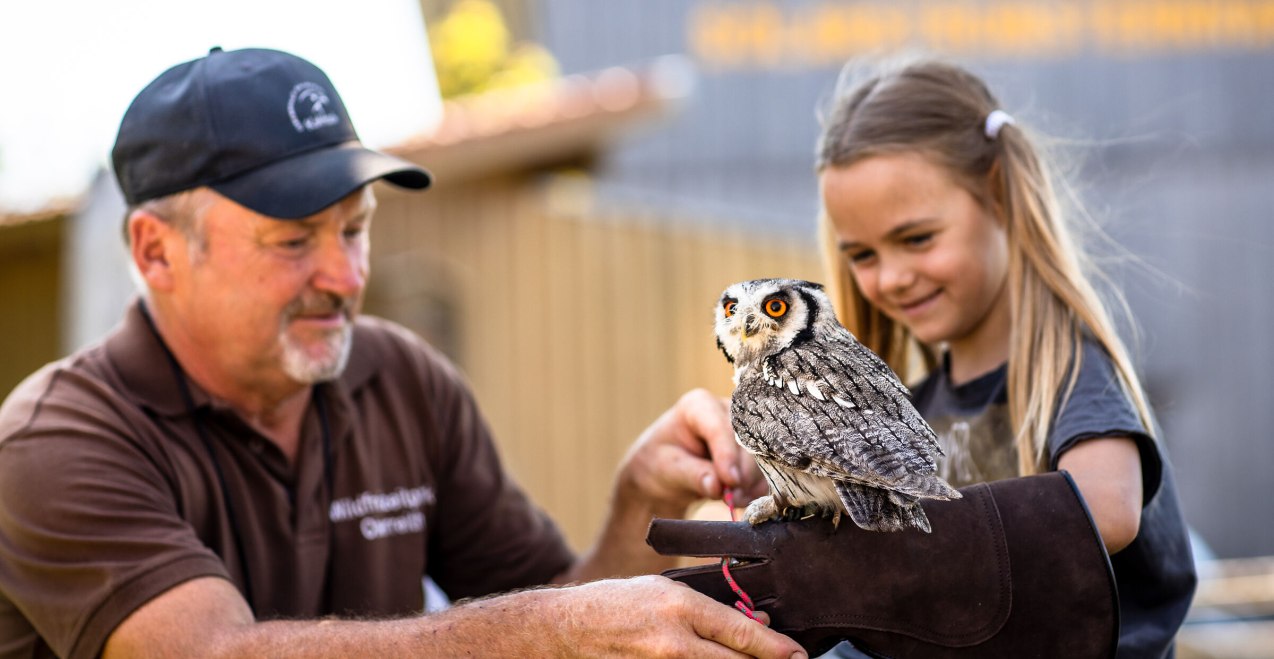 Falknerei besuchen, © Inn-Salzach Tourismus
