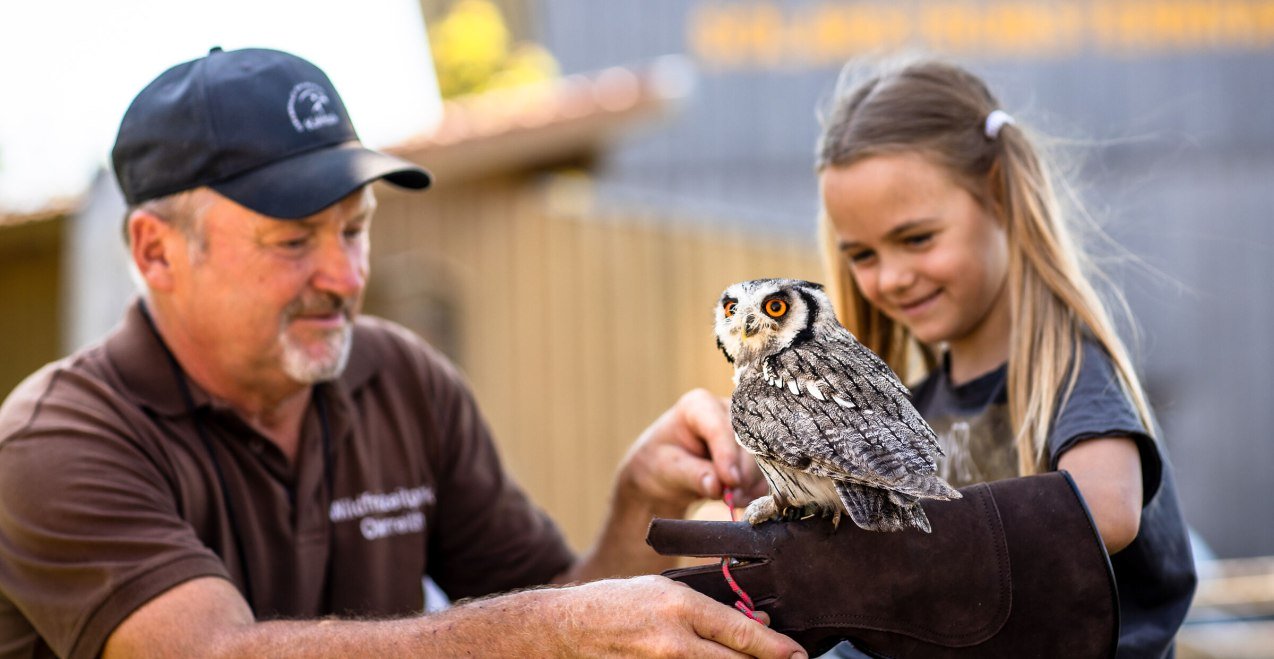Falknerei besuchen, &copy; Inn-Salzach Tourismus