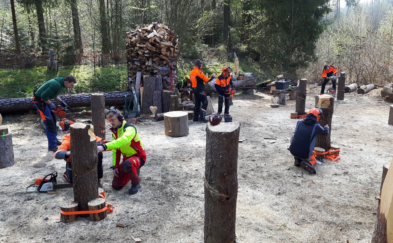 Motorsägen-Schnitzkurs im Wald, © Konrad Winkler