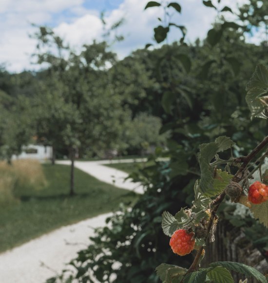 GartenLust, &copy; Tourismusverband Inn-Salzach