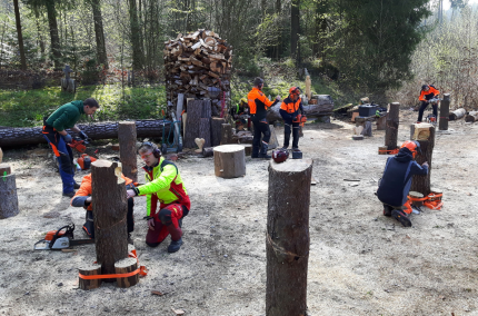 Motorsägen-Schnitzkurs im Wald, © Konrad Winkler