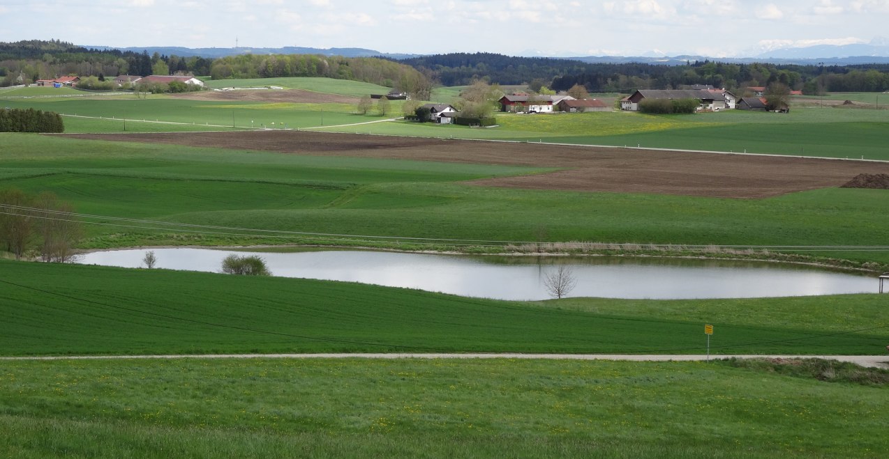 Maitenbether Kleeblatt, &copy; Hans Schmidt