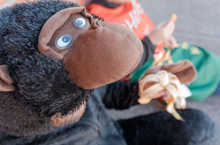 Kinderfasching, © Tourismusverband Inn-Salzach