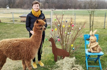 Heuaktion Niedergerner Alpakaranch, &copy; Niedergerner Alpakaranch