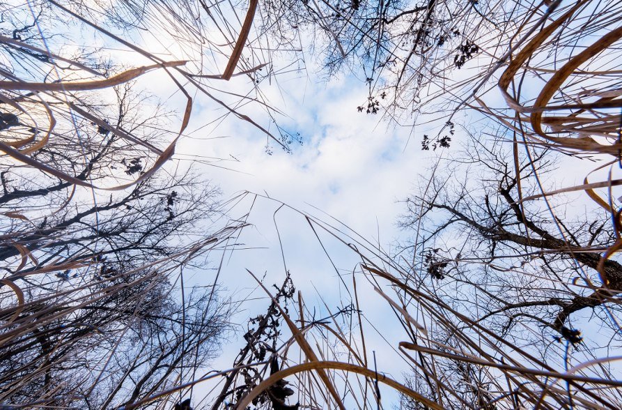 Meditatives Wandern, &copy; Ingo Zahlheimer