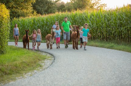 Gruppe wandert mit Alpakas, &copy; Inn-Salzach Tourismus