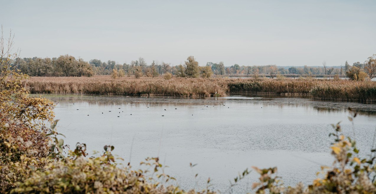 Europareservat "Unterer Inn", &copy; Inn-Salzach Tourismus