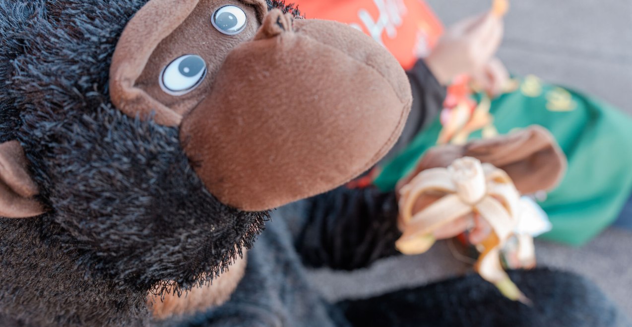 Kinderfasching, &copy; Tourismusverband Inn-Salzach