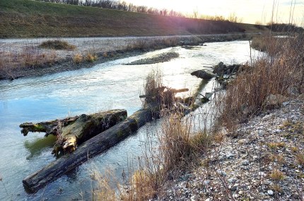 Natur erleben im Mai, &copy; Marianne Bollmann