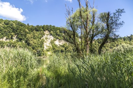 Naturlandschaft am Inn beim Europareservat Unterer Inn, &copy; Inn-Salzach Tourismus