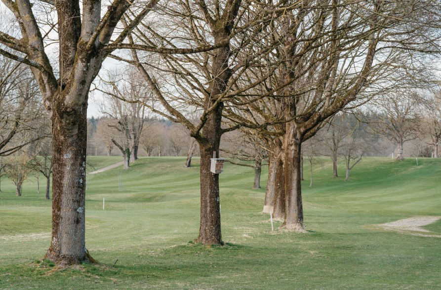 Golfclub Alt&ouml;tting-Burghausen, &copy; Inn-Salzach Tourismus