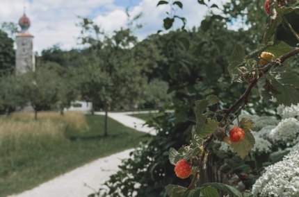 GartenLust, &copy; Tourismusverband Inn-Salzach