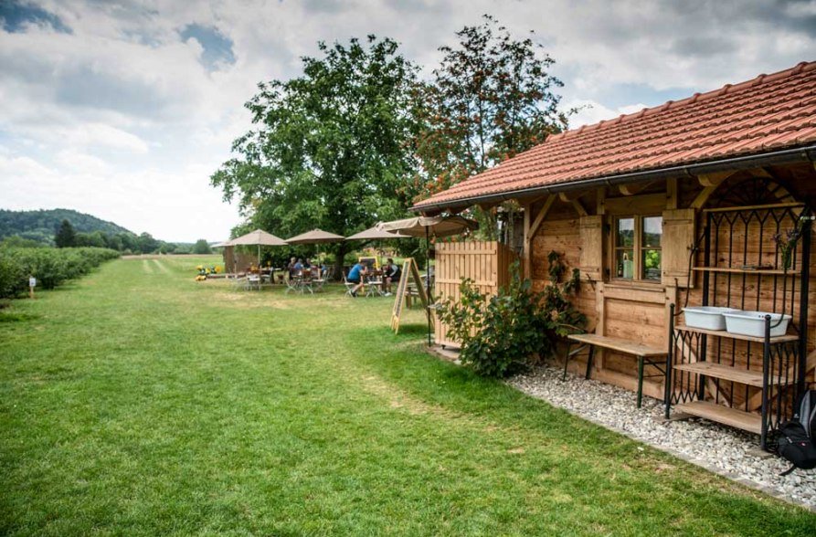 Heidelbeergarten Garching a. d. Alz, &copy; Reiters Heidelbeergarten