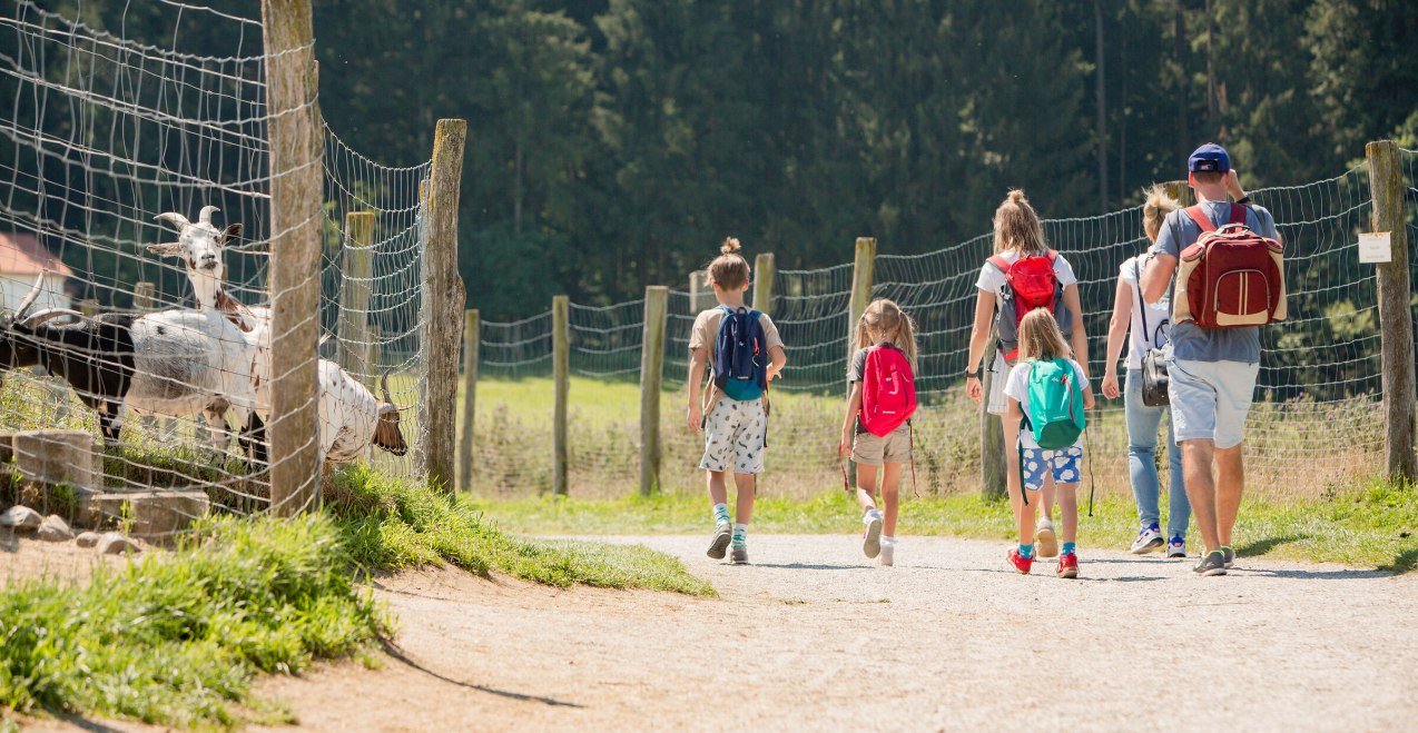 Gruppe spaziert durch den Wildfreizeitpark Oberreith, © Inn-Salzach Tourismus