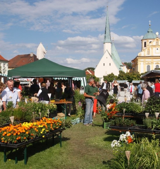 Altoettinger-Klostermarkt-Foto-Heiner-Heine (2), &copy; Heiner Heine