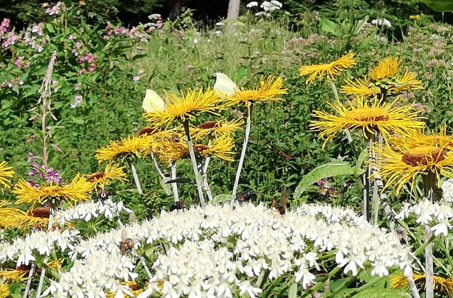 Natürlich in Trostberg