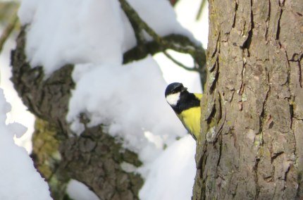 Natur erleben im November, © Dorena Buchmeier