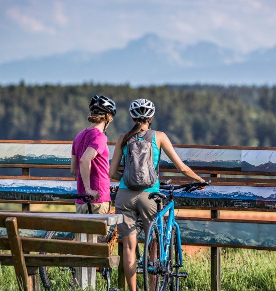 Radfahrer blicken in Richtung Alpen, © Inn-Salzach Tourismus