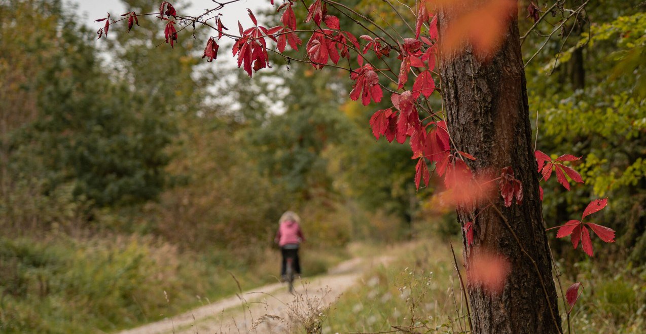 Forstrundweg, &copy; Inn-Salzach Tourismus Saskia Niedermeier