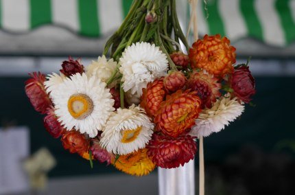 Getrocknete Blumen aus der Region Inn-Salzach, © Inn-Salzach Tourismus