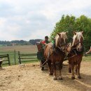 Kutschfahrt in Oberbayern, © Sabine Zallinger