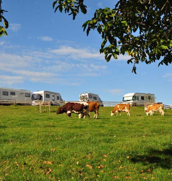 Wohnmobilstellplatz Gasthaus Kiefering, &copy; Gasthaus Kiefering
