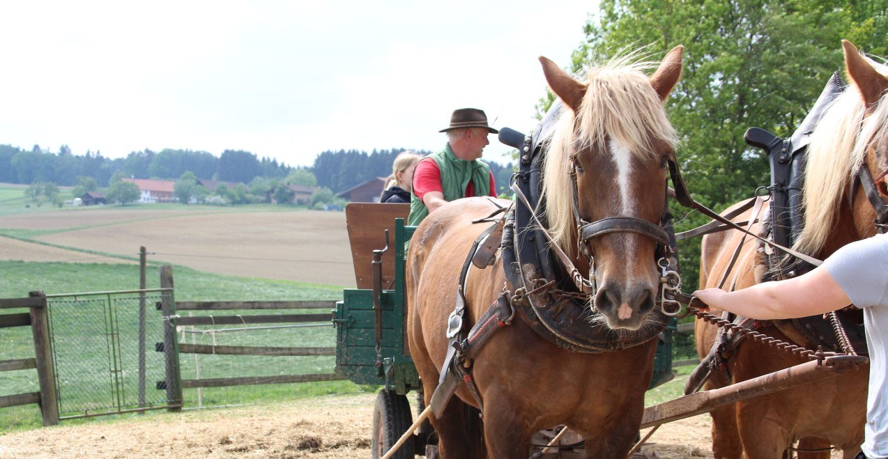 Pferdekutsche, &copy; Inn-Salzach Tourismus