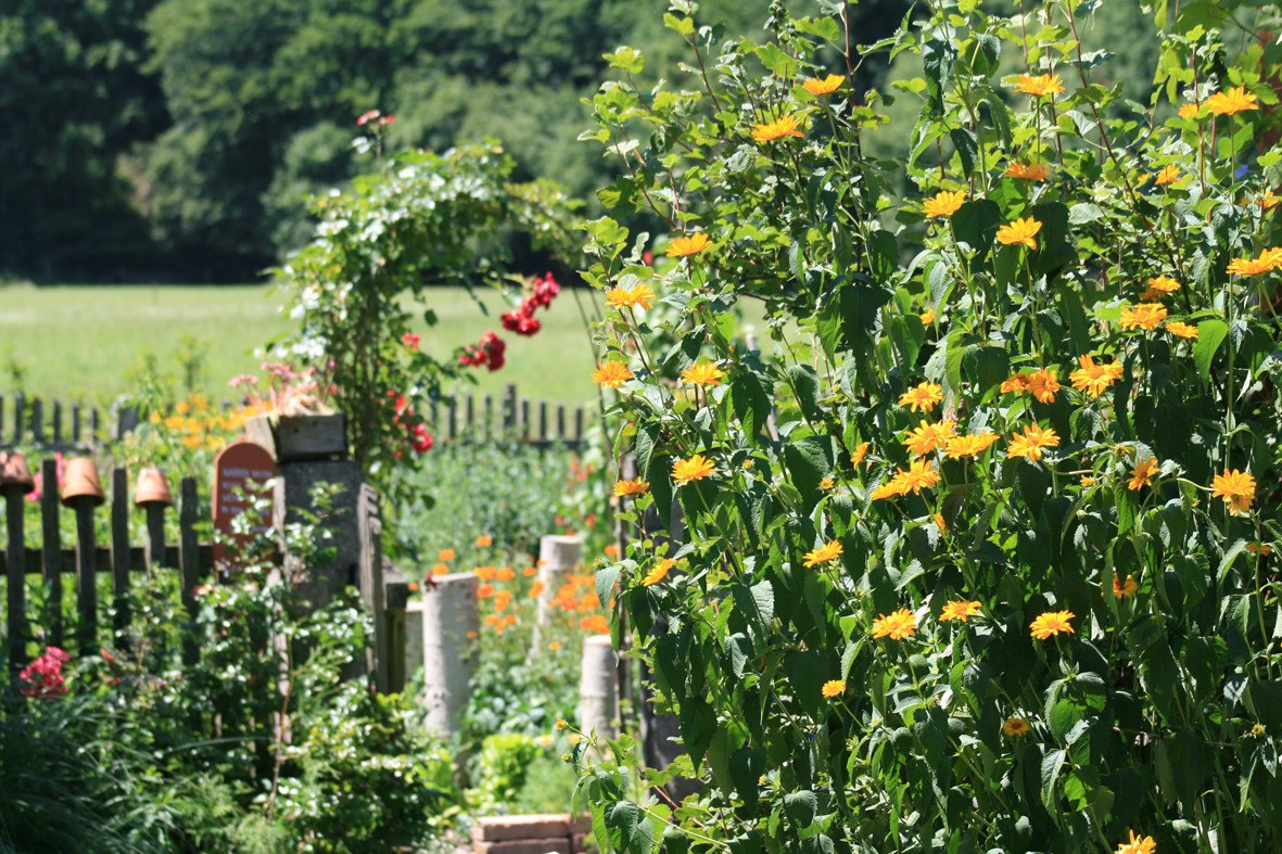 Kräutergarten von Hildegard Hintereder, © Hildegard Hintereder