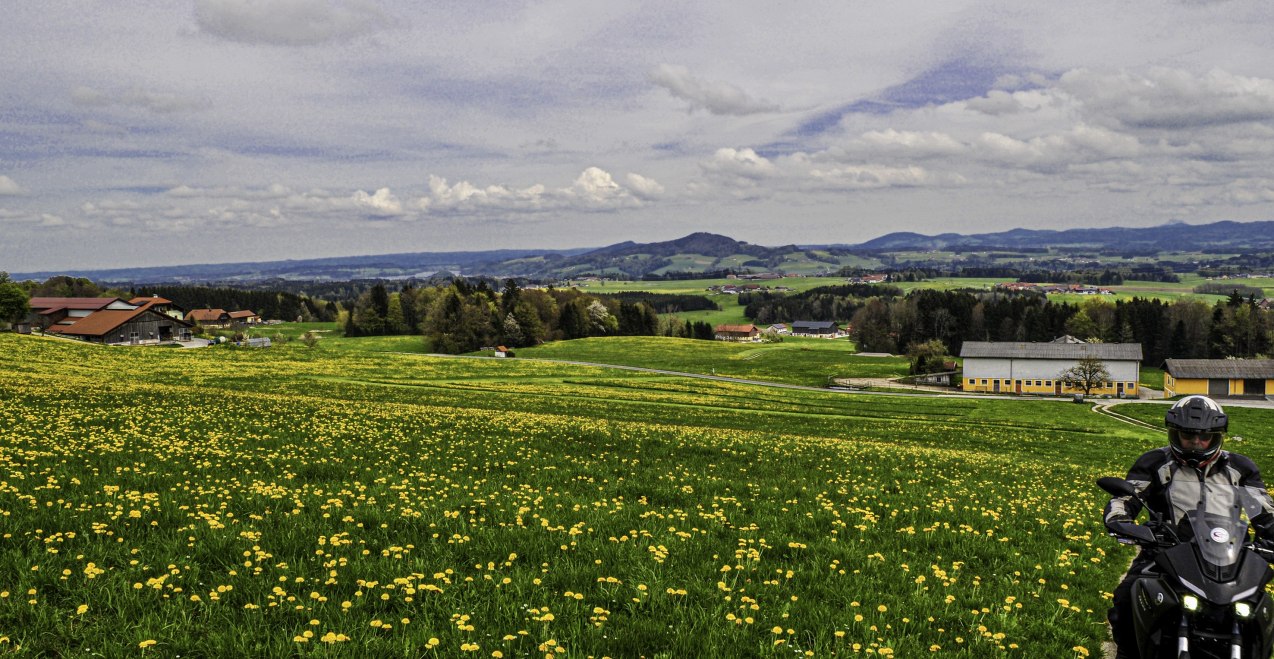 Haunsberg, &copy; Andreas Wiesenzarter